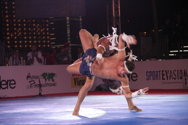 Martial Arts Festival